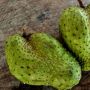 Tak banyak yang Tahu, Ini 5 Manfaat Dari Buah Sirsak Untuk Kesehatan