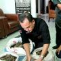 KLHK Sumatera Gagalkan Penjualan 36,7 Kg Sisik Trenggiling dan 1 Paruh Rangkong