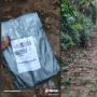 Viral Curhatan Kurir Antar Paket Harus Jalan Kaki Lewati Hutan