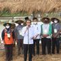 Jokowi: Sampai Hari Ini Pemerintah Belum Impor Beras Sama Sekali, Stok Sangat Baik
