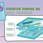 10 Fungsi Dinding Sel: Metabolisme hingga Penyimpanan Karbohidrat