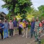 Tradisi 'Mantu Kucing' Warga Banyuwangi Untuk Minta Keselamatan Hujan