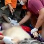 Bule Perancis di Bali Meninggal Saat Susuri Anak Tangga Pura Lempuyang