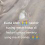 Viral Penemuan Seekor Kucing di Lautan Lumpur Erupsi Semeru, Tuai Simpati Publik