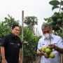 Menteri BUMN dan Dirut BRI Kunjungi Klaster Usaha Pertanian di Bandung