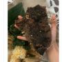 Viral Warganet Syok Lihat Ukuran Jeroan di Nasi Padang, Publik: Perokok Aktif Itu