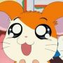 5 Tokoh Hamster Terpopuler di Serial Animasi Hamtaro, Masih Ingat?