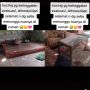 Tak Terevakuasi Pasca Semeru, Kucing Oranye Ditemukan Hidup di Rumah Penuh Abu