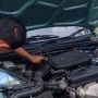Acara Kopdar Komunitas Heboh Gara-Gara Kelakuan Kucing 'Nginep' di Mesin Mobil, duh!