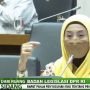 Desy Ratnasari Usul Pejabat Publik Masuk Kategori di Pasal Ketentuan Pidana RUU TPKS
