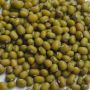 4 Manfaat Kacang Hijau untuk Kesehatan, Kamu Harus Tahu!