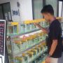 Dari Hobi Jadi Ladang Cuan, Pemuda Asal Bontang Pasarkan Ikan Cupang Hingga Jutaan