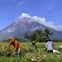 6 Gunung Tertinggi di Indonesia, Bisa Jadi Referensi Pendakian saat HUT Kemerdekaan RI