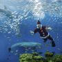 Aksi Sinterklas Hibur Pengunjung Yokohama Hakkeijima Sea Paradise