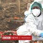 Mungkinkah Muncul Varian Baru yang Berbahaya di Indonesia?