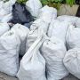 Viral Penyu Mati di Tumpukan Sampah Kiriman di Pantai Berawa Bali
