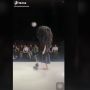 Gaya Model Ini Bikin Gagal Paham, Pakai Sepatu Cuma Sebelah saat Fashion Show