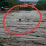 Warga Terseret Arus Banjir di Bima Viral, Warga Hanya Pasrah Berteriak Karena Panik