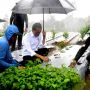 Berdialog dengan Presiden Jokowi, Ini Deretan Keluh Kesah Petani di Temanggung