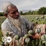 Perdagangan Opium di Afghanistan Meningkat Pesat Sejak Taliban Berkuasa