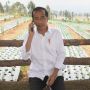 Presiden Jokowi Larang Pejabat Negara Keluar Negeri