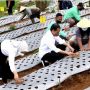 Ke Temanggung, Presiden Jokowi Berharap Produktivitas Bawang Merah Bisa Meningkat