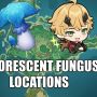 Bongkar Lokasi, Ini Cara Menemukan Fluorescent Fungus Genshin Impact