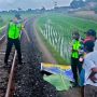 Lengah Jalan di Rel, Buruh Tani di Blitar Disikat Kereta Api Hingga Terpental 15 Meter