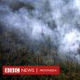 Suhu Tertinggi Arktika Kutub Utara Lebih Panas dari Jakarta dan Surabaya
