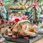 Rayakan Natal Bersama Keluarga, Ini Menu yang Ditawarkan Hyatt Regency Jogja
