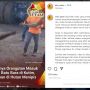Miris, Orangutan Kurus Gendong Anak, Minta Makan ke Karyawan Tambang di Kutim
