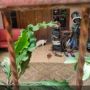 Kucing Jadi Penerima Paket, Foto dan Keterangannya Bikin Ngakak