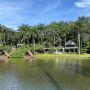 Tempat Nongkrong di Sentul, Tempatnya Sejuk dan Menunya Lengkap