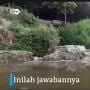 Pencemaran di Sungai Cisadane, Limbah Kimia Pabrik Jadi Biang Keladi