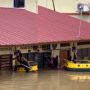 Viral Aksi Pria Selamatkan Kucing yang Terjebak Banjir, Warganet: Panjang Umur Orang Baik