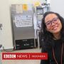 Ilmuwan Perempuan Indonesia Mencari "Spongebob" untuk Penawar Kanker