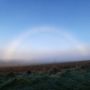 Penampakan Fenomena Langka, Fogbow Tertangkap Kamera