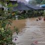 Banjir Rob Menghantui Sepaku: Kewaspadaan Terhadap Bencana