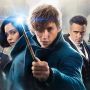 Seri Ketiganya Tayang April 2022, Ini Sinopsis Film Fantastic Beasts 1-2