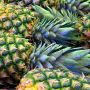 5 Manfaat Buah Nanas untuk Kesehatan, Bisa Cegah Risiko Kanker dan Rawat Kulit!