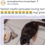 Viral Kucing Pulang-pulang  Gondol Benda Ini, 'yang Balikin Malu, yang Punya juga Malu'
