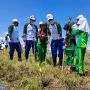 3 Tahun Tsunami Banten, Penanaman Mangrove Digalakan untuk Hadang Tsunami
