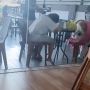 Tuai Pujian, Wanita Ini Belikan Minuman untuk Sosok di Balik Badut Masha yang Kelelahan