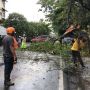 Malang Dilanda Hujan Deras Disertai Angin Kencang, Puluhan Rumah Rusak