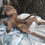 Kuil Setan Pajang Patung Bayi Baphomet di Gedung Capitol Menjelang Natal