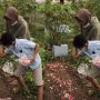 Menghibur Diri, Bocah Ini Tirukan Aksi Chef Salt Bae saat Tabur Bunga di Makam Ibunya