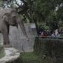 Taman Margasatwa Ragunan Dipadati Pengunjung saat Libur Natal 2021