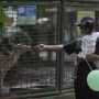 Libur Tahun Baru, Pengunjung Ancol, TMII dan Ragunan Dibatasi Maksimal 75 Persen