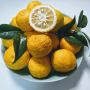 Apa itu Sitrun? Buah Kering yang Bentuknya Mirip Lemon