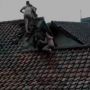 Viral Video Warga Naik ke Atap Rumah saat Banjir Menerjang, Begini Faktanya